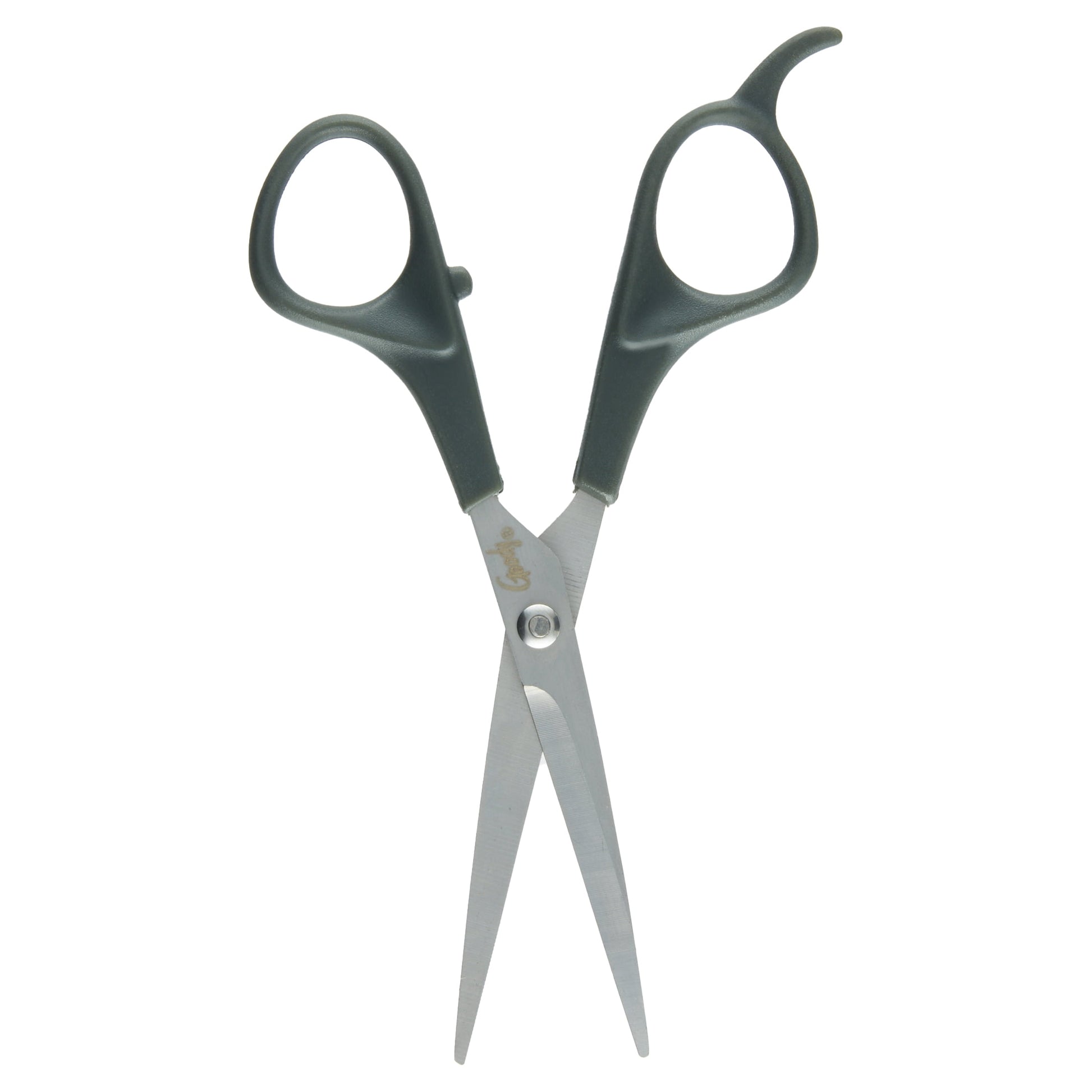 Stainless Steel Scissors, Hair Trimming Scissors, 6.5 Inches Silver 1 Ct