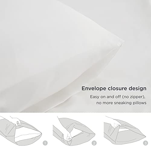 Bedsure Satin Pillowcase for Hair and Skin Queen - Silver Grey Silk Pillowcase 2 Pack 20x30 inches - Satin Pillow Cases Set of 2 with Envelope Closure, Gifts for Women Men